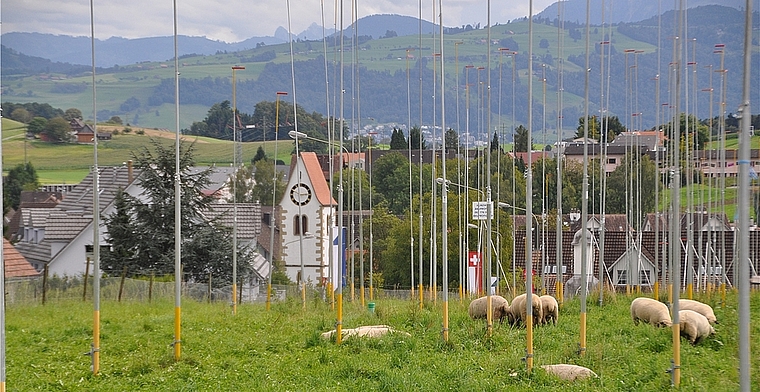 Baulücken vorhanden: Baugespanne in Knonau. (Bild Werner Schneiter)