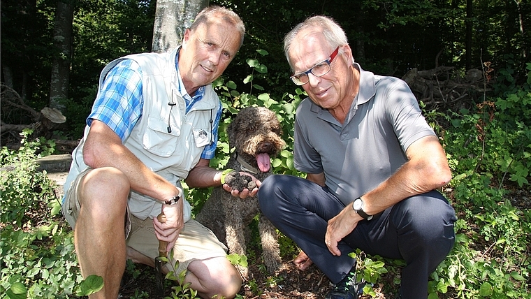 Lothar Zeissler aus Wettswil (links) mit seinem Trüffelhund Yari und seinem Kollegen Markus Schmid, Organisator des Baarer Trüffelmarktes. (Bild H-P Neukom)