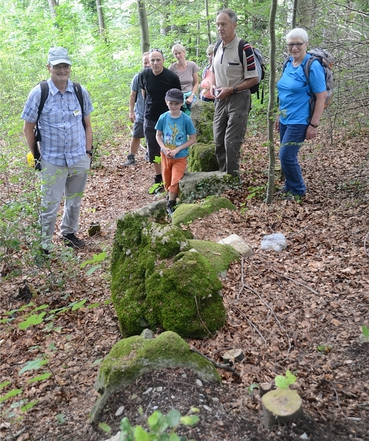 Im Wald beim Weiler Grüt: Hans Wiesner (links) bei einer Reihe von Megalithen. (Bild Martin Mullis)