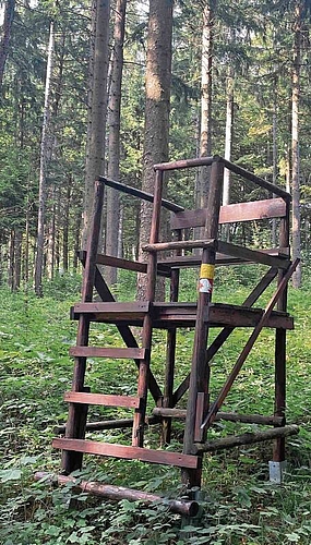 Der Jagdbock steht im Wald und wird während der Treibjagd benutzt.