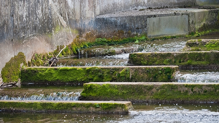 Der Jonenbach, hier beim Ausfluss aus dem Wasserrückhaltebecken in Affoltern, führt nur noch einen kleinen Teil der ursprünglichen Wassermenge. (Bild Salomon Schneider)