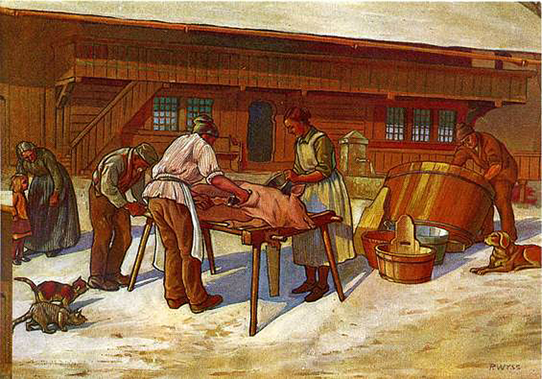 Hausmetzgete auf einem Berner Bauernhof. Volkskundliche Bilder von P. Wyss, um 1930. (Bild zvg.)
