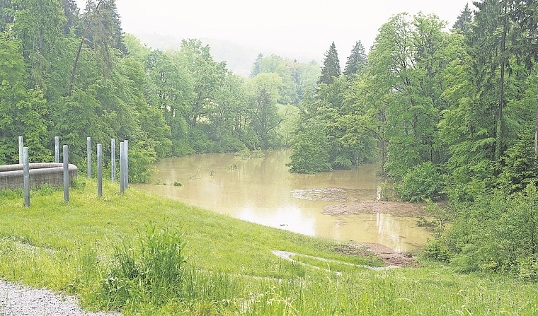 Hat den Regenfluten bisher problemlos standgehalten: Hochwasserrückhaltebecken in Affoltern. (Bild Peer Messerli)