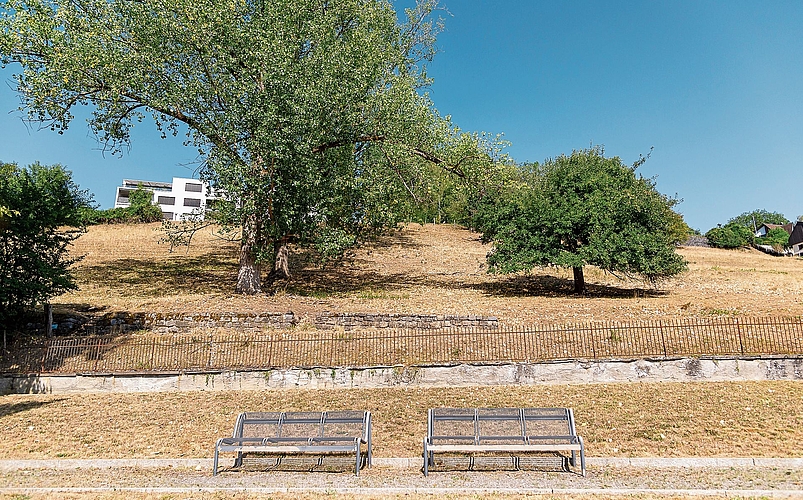 Wirkt wegen der Trockenheit wie eine künstliche Filmkulisse: Der alte Friedhof in Wettswil (zwei Bänke) und der Hang dahinter. Wirkt wegen der Trockenheit wie eine künstliche Filmkulisse: Der alte Friedhof in Wettswil (zwei Bänke) und der Hang dahinter.