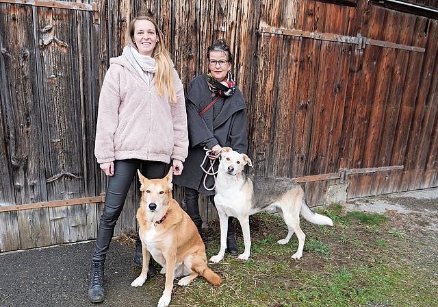 Manuela Huber mit Hugo (links) und Miriam Reed mit Jimmy (Chimo) aus dem Säuliamt haben sogenannten «schwierigen» Hunden ein Zuhause gegeben. (Bilder Claudia Eugster)