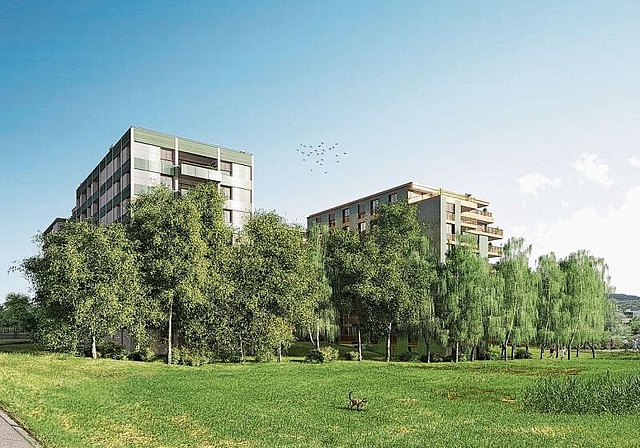 Westansicht des «Brauiparks». (Visualisierungen zvg.)
