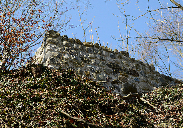 Die Schnabelburg hatte für rund zwei Jahrhunderte Bestand. (Bild Erika Schmid)