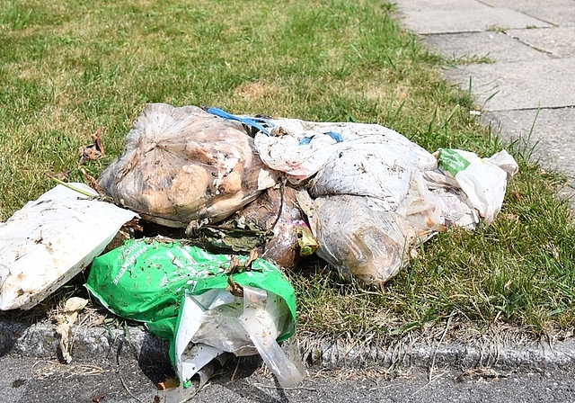In Zwillikon wurde versucht, Plastiksäcke im Grüngut zu entsorgen. Obrist sortierte die Fremdstoffe aus.<em> (Bild lhä)</em>
