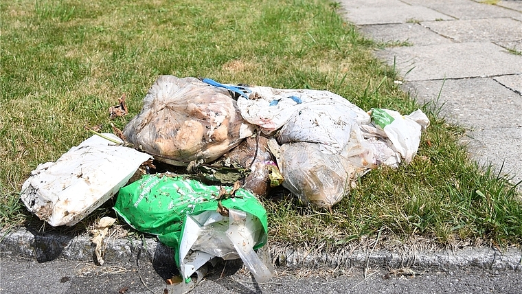 In Zwillikon wurde versucht, Plastiksäcke im Grüngut zu entsorgen. Obrist sortierte die Fremdstoffe aus.<em> (Bild lhä)</em>