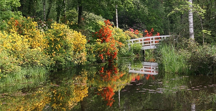 Zu den Investitionen in die Infrastruktur des Parks Seleger Moor gehören auch Brückensanierungen. (Bild zvg.)