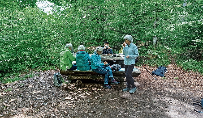 An einer lauschigen Picknickstelle rasteten die Seniorinnen und Senioren und nutzten die Mittagszeit zum Essen und Plaudern. An einer lauschigen Picknickstelle rasteten die Seniorinnen und Senioren und nutzten die Mittagszeit zum Essen und Plaudern.
