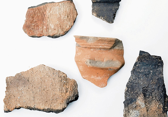 Frührömische Keramik von der Fundstelle Aeugst-Brunnenstube. (Bild M. Bachmann, Kantonsarchäologie Zürich)
