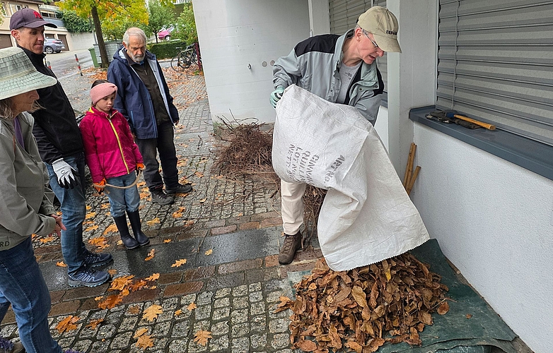 Die Basis für jedes gute Igel-Nest bildet Laub. (Bilder Claudia Eugster) Die Basis für jedes gute Igel-Nest bildet Laub. (Bilder Claudia Eugster)
