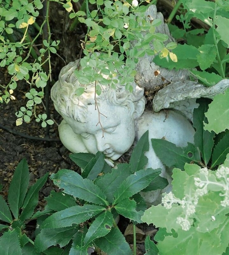 Der kleine Engel träumt im Versteckten.