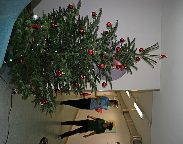 Auf den Spitalgängen finden sich immer wieder weihnachtliche Dekorationen. Diesen Baum haben die Lernenden unter den wachsamen Augen von Patientinnen und Patienten geschmückt.