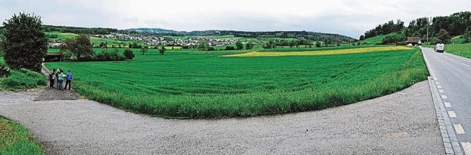Der neu geplante Deponiestandort im Gebiet Moosacher in Bonstetten. (Bild Baudirektion Kanton Zürich)