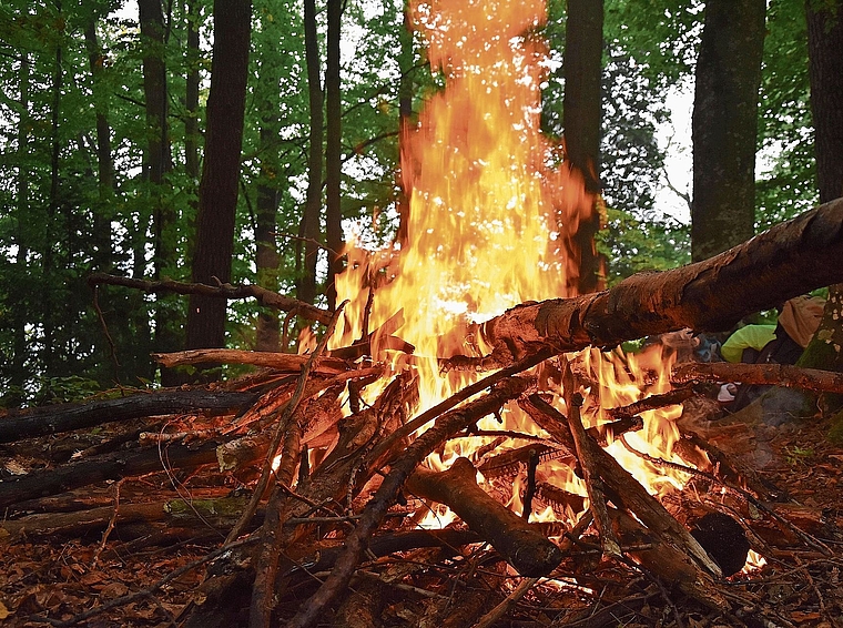Im Wald und in Nähe des Waldrands dürfen im ganzen Kanton Zürich keine Feuer entfacht werden. (Bild Pixabay)