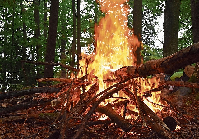 Im Wald und in Nähe des Waldrands dürfen im ganzen Kanton Zürich keine Feuer entfacht werden. (Bild Pixabay)