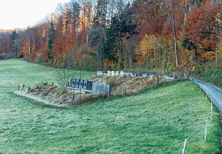 Der Kugelfang und der Zeigerstand am Waldrand in der Schonau werden rückgebaut. (Bild Marianne Voss)