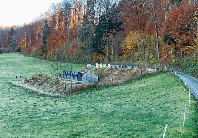 Der Kugelfang und der Zeigerstand am Waldrand in der Schonau werden rückgebaut. (Bild Marianne Voss)