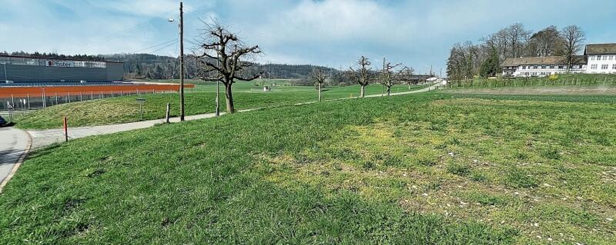Auf dem Schwanden-Areal in Affoltern, zwischen dem Einrichtungshaus Pfister und der Landwirtschaftsschule, 
wird das Provisorium der neuen Kantonsschule entstehen. (Bild Dominik Stierli)