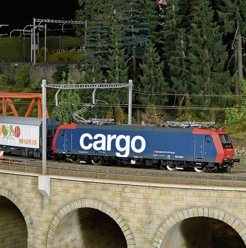 Eine Re 482 «Cargo» zieht einen Güterzug. (Bild Hans-Martin Hottinger)