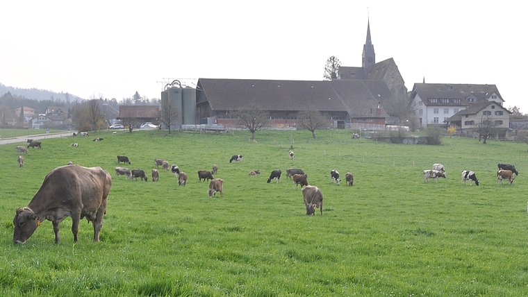 Der neue Melkstall soll westlich des bestehenden Landwirtschaftsbetriebes realisiert werden. «Der einzig mögliche Standort», sagt der Verein Kloster Kappel. (Bild Werner Schneiter)