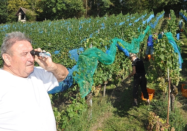 Mit dem Refraktometer stellt Weinbauer Edwin Marty die Öchslegrade fest. <em>(Bild Werner Schneiter)</em>