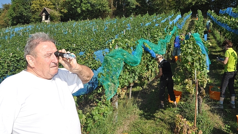 Mit dem Refraktometer stellt Weinbauer Edwin Marty die Öchslegrade fest. <em>(Bild Werner Schneiter)</em>