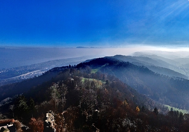 Der Üetliberg mit grosser Vielfalt an Lebensräumen für eine reichhaltige, zum Teil stark bedrohte Tier- und Pflanzenwelt. Nun wird die Schutzverordnung überarbeitet. (Bild Martin Platter)