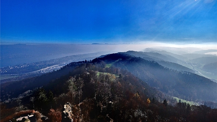 Der Üetliberg mit grosser Vielfalt an Lebensräumen für eine reichhaltige, zum Teil stark bedrohte Tier- und Pflanzenwelt. Nun wird die Schutzverordnung überarbeitet. (Bild Martin Platter)