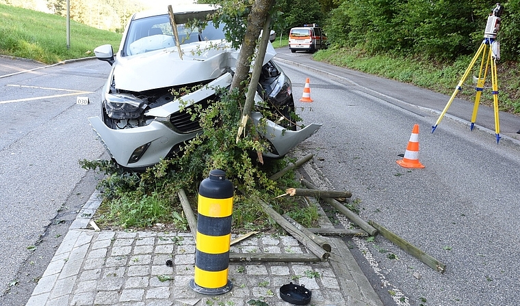 Das Auto krachte auf der Mittelinsel in einen Pfosten und zwei Bäume. (Bild Kapo ZH)