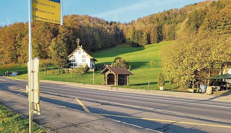 Bushaltestelle Riedmatt: Als Alternative zum rollstuhlgerechten Ausbau wenig genutzter Bushaltestellen erwägt der Zürcher Verkehrsverbund den Aufbau eines Shuttledienstes für Fahrgäste mit Mobilitätsbeeinträchtigung. (Bild bs.)