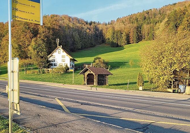 Bushaltestelle Riedmatt: Als Alternative zum rollstuhlgerechten Ausbau wenig genutzter Bushaltestellen erwägt der Zürcher Verkehrsverbund den Aufbau eines Shuttledienstes für Fahrgäste mit Mobilitätsbeeinträchtigung. (Bild bs.)