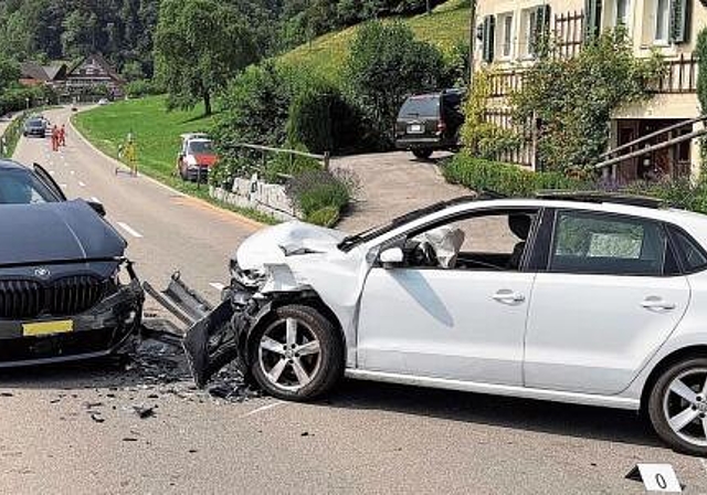 Die Unfallstelle auf der Reppischtalstrasse. Im Hintergrund der Weiler Türlen. (Bild Kapo ZH)