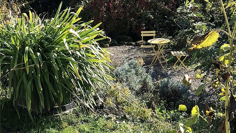 Dürrer Rasen im Vordergrund, üppige Vegetation verschiedener Pflanzen im Kräuterbord. <em>(Bild ch)</em>
