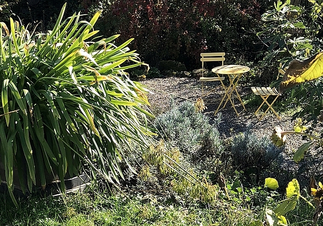 Dürrer Rasen im Vordergrund, üppige Vegetation verschiedener Pflanzen im Kräuterbord. <em>(Bild ch)</em>