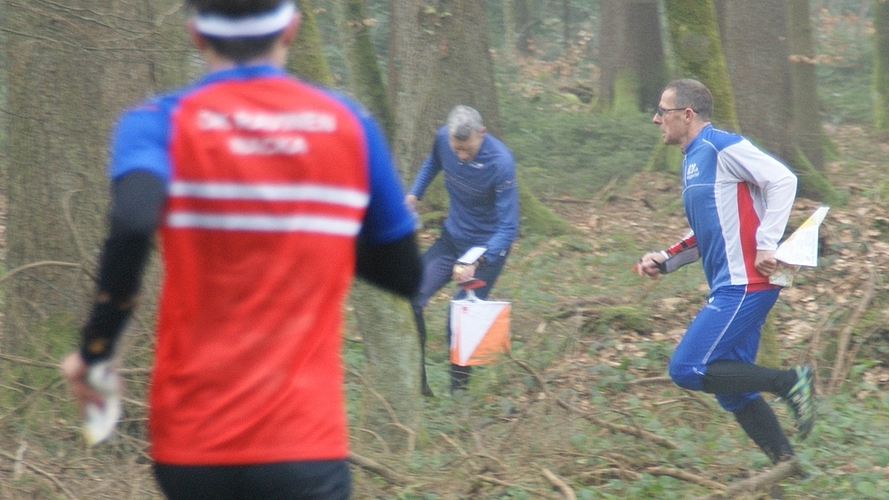 Reger Läufer-Verkehr im Wald über dem Flugplatz Buttwil. (Bilder Thomas Stöckli)
