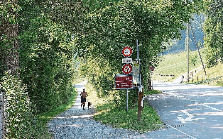 Einer der Schwachpunkte gemäss der Analyse im regionalen Richtplan: Der viel genutzte Weg am Türlersee ist als Radweg ausgeschildert. Der Belag lässt aber keine Benutzung mit dem Rennrad zu und die Signalisierung verbietet die Nutzung mit schnelle