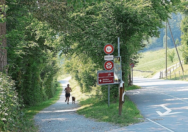 Einer der Schwachpunkte gemäss der Analyse im regionalen Richtplan: Der viel genutzte Weg am Türlersee ist als Radweg ausgeschildert. Der Belag lässt aber keine Benutzung mit dem Rennrad zu und die Signalisierung verbietet die Nutzung mit schnelle