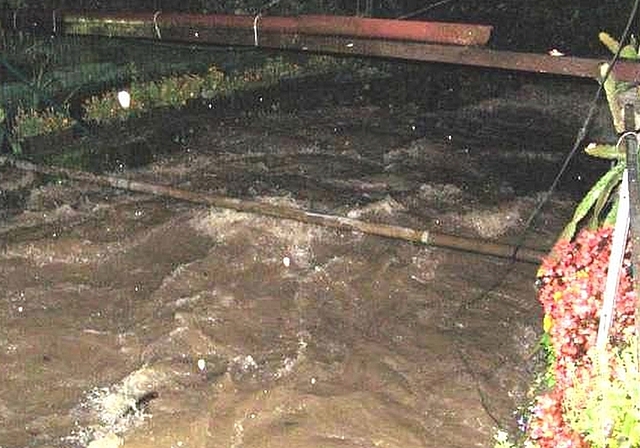 Auch so kann der Haselbach aussehen: beim Hochwasser 2007 im Oberdorf, Knonau. (Bild zvg.)