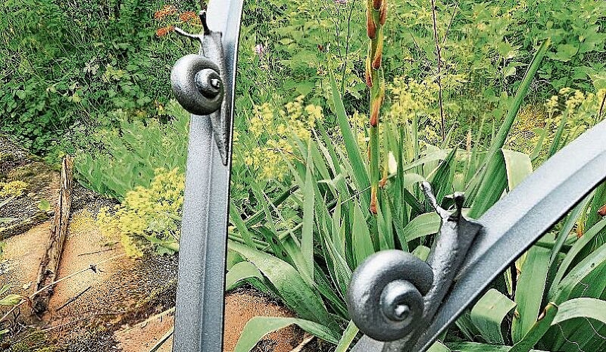 wie er diese Weide aus einem kleinen Ast gezogen hat.
