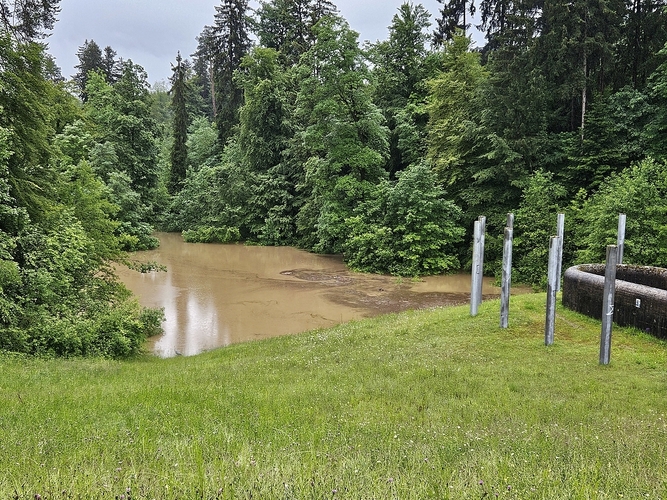 Am vergangenen Freitag hatte sich das Regenrückhaltebecken in Affoltern wieder teilweise gefüllt. (Leserbild Markus Leutwyler)