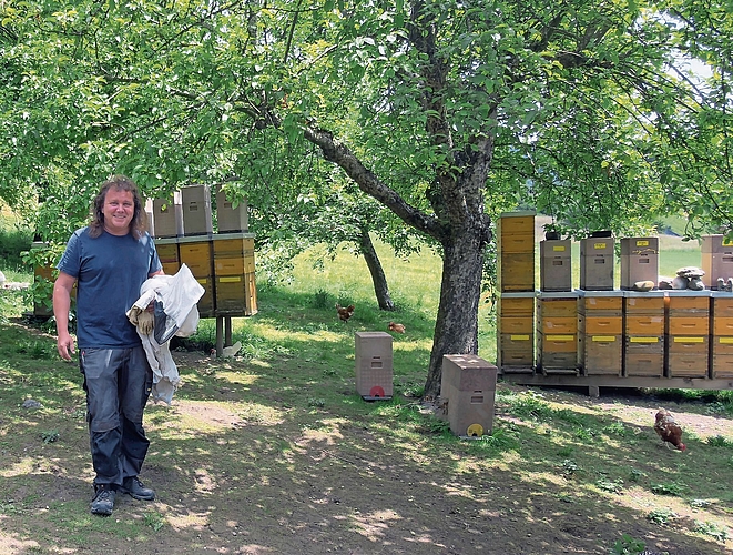 Mit der Ernte kann begonnen werden, sobald die Bienen die Waben mit einer feinen Wachsschicht versiegeln. Mit der Ernte kann begonnen werden, sobald die Bienen die Waben mit einer feinen Wachsschicht versiegeln.