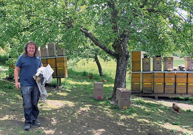 Mit der Ernte kann begonnen werden, sobald die Bienen die Waben mit einer feinen Wachsschicht versiegeln.