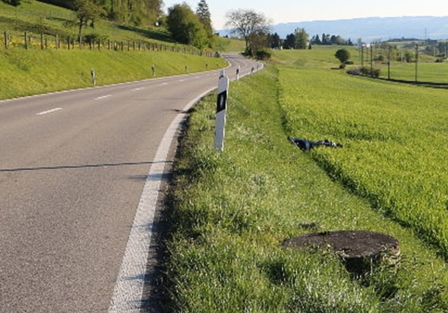 Die Unfallstelle zwischen Bonstetten und Hedingen. (Bild Kapo ZH)