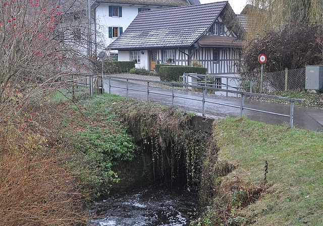 Bei der Haselbachbrücke soll die 5-Tonnen-Beschränkung aufgehoben werden, wozu grössere Investitionen nötig sind. Die Gemeindeversammlung wird über ein Projekt befinden. (Bild Werner Schneiter)