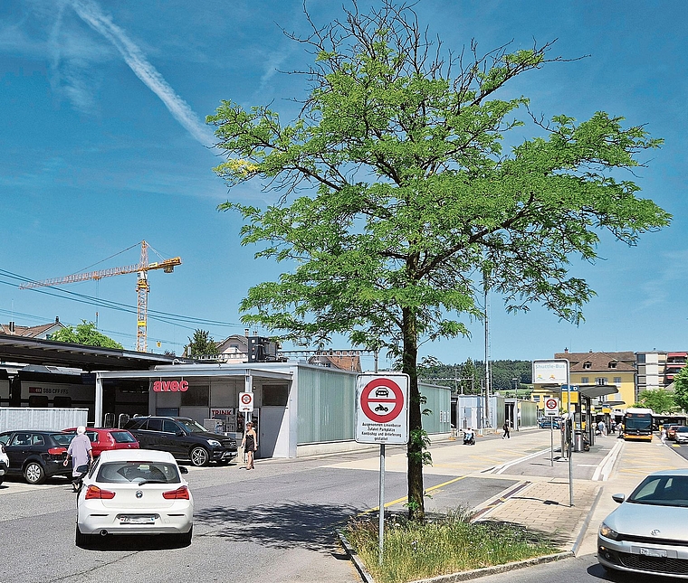 Die Verzahnung der verschiedenen Angebote des öffentlichen Verkehrs ist äusserst komplex. Dies kann zu Interessenkonflikten führen. Kreative Kompromissvorschläge können zur Problemlösung beitragen. (Bild Bernhard Schneider)