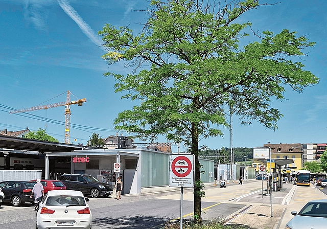 Die Verzahnung der verschiedenen Angebote des öffentlichen Verkehrs ist äusserst komplex. Dies kann zu Interessenkonflikten führen. Kreative Kompromissvorschläge können zur Problemlösung beitragen. (Bild Bernhard Schneider)