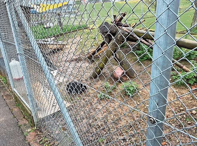 Das Kaninchengehege bei der Kinder-Reha in Affoltern vor der Umgestaltung. Nun wurde es mit mehr Beschäftigungsmaterialien ausgestattet, um die Kaninchen zu animieren, sich ihrer Art entsprechend zu bewegen. Das Kaninchengehege bei der Kinder-Reha in Affoltern vor der Umgestaltung. Nun wurde es mit mehr Beschäftigungsmaterialien ausgestattet, um die Kaninchen zu animieren, sich ihrer Art entsprechend zu bewegen.